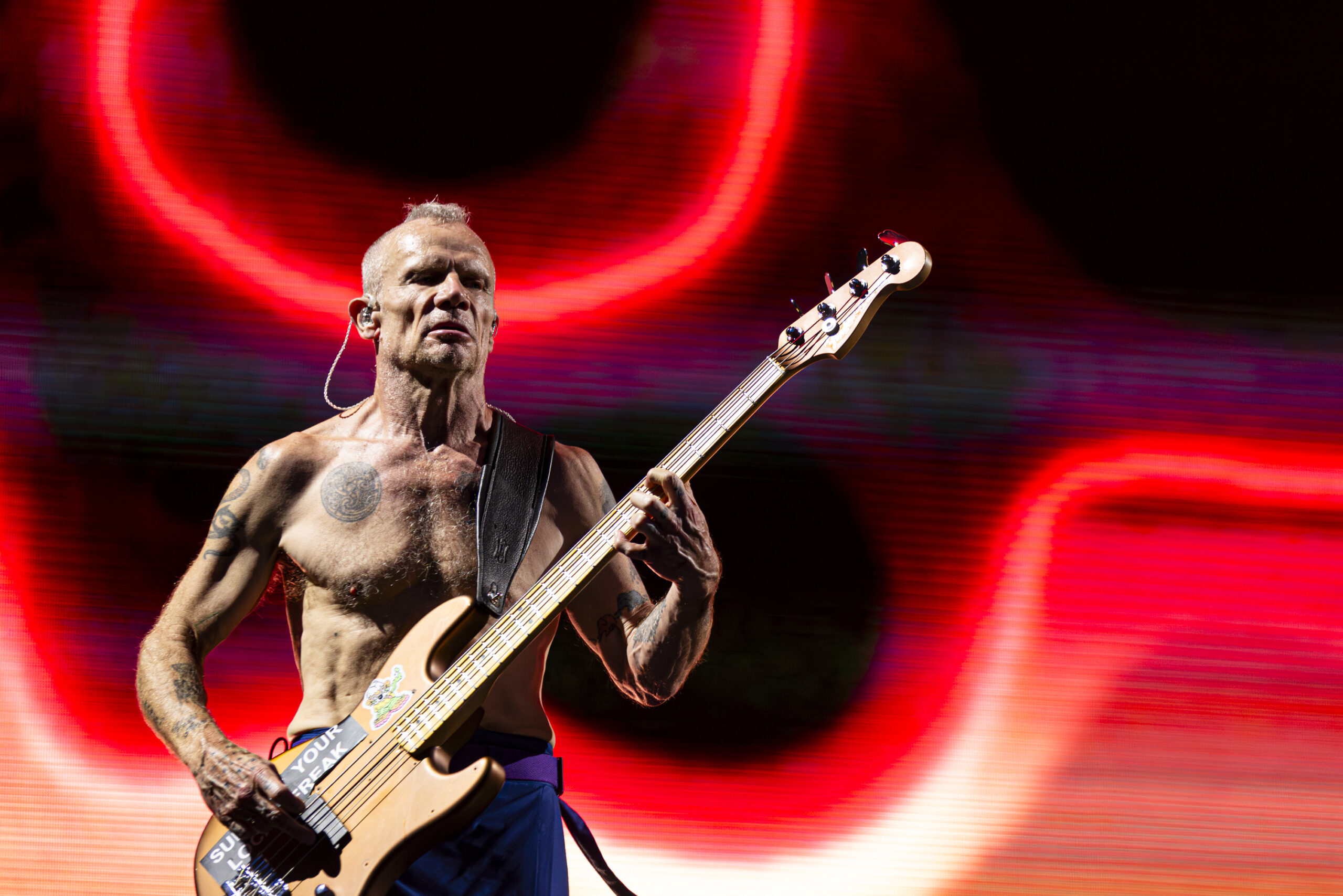 RHCP_IggyPop_20230715_14_ArminThaler