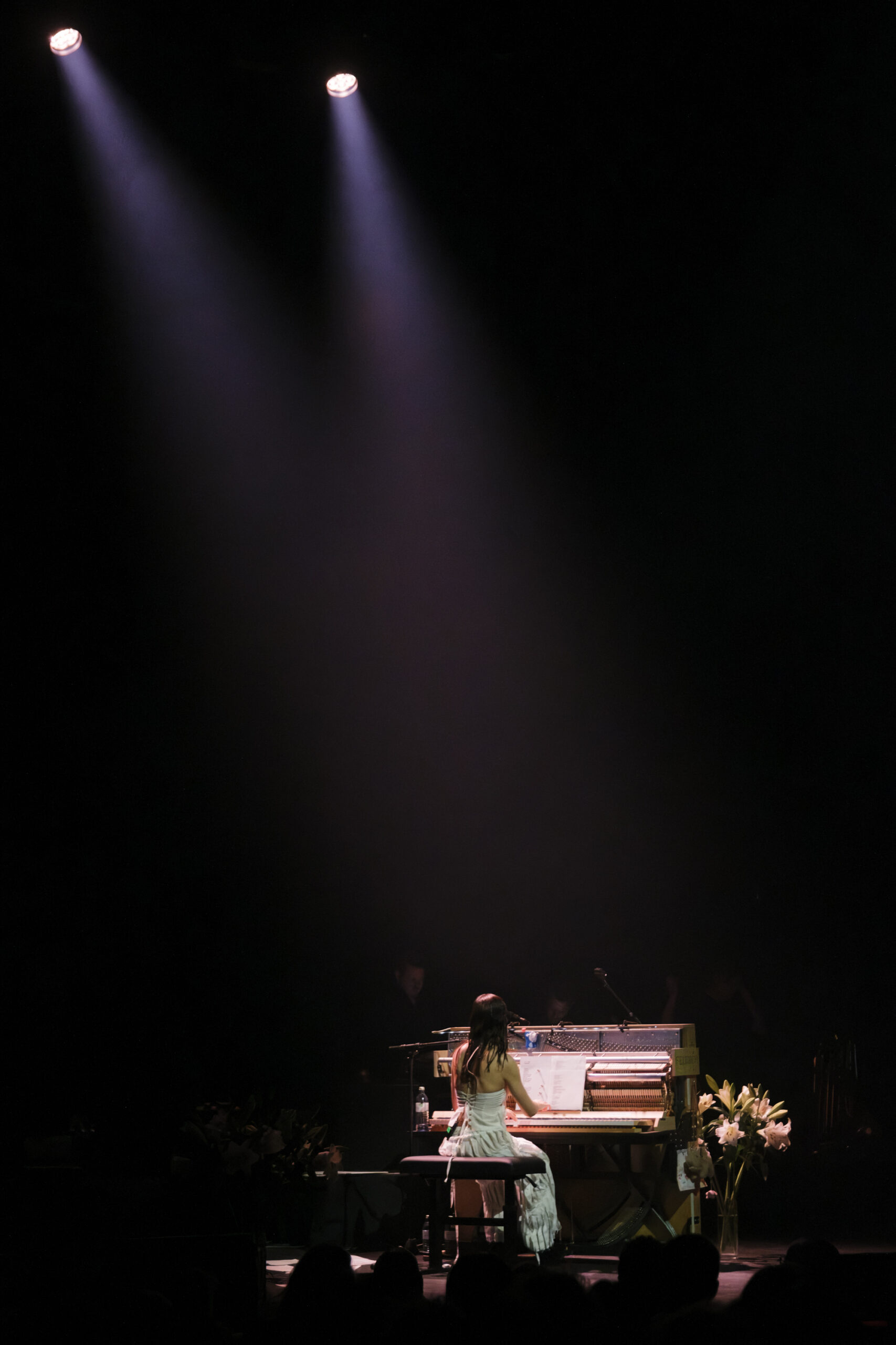 Soap_Skin_20260617_Oper_Wien_ArminThaler_13
